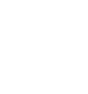 Search Engine Optimization service icon