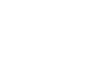 Data and Growth Analytics service icon