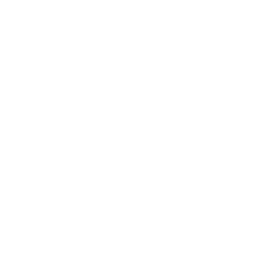 AI-Ready Brand Optimization service icon